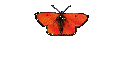 2000 Millenium